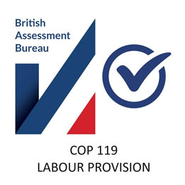 labour-provision-big